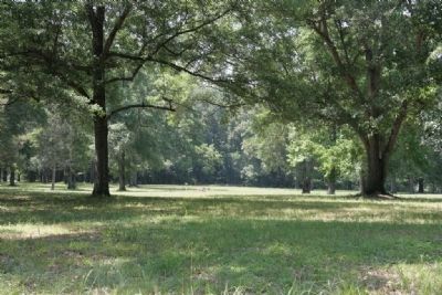 Site of the Red Stick's village Tohopeka image. Click for full size.