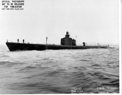 USS Trigger (SS-237) image. Click for full size.