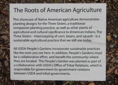 The Roots of American Agriculture. Click for full size. The Roots of American Agriculture image. Click for full size.