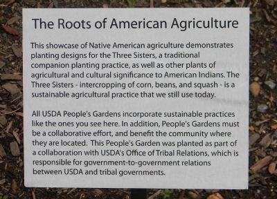 The Roots of American Agriculture image. Click for full size.
