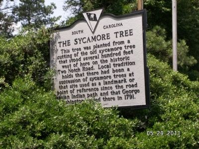 The Sycamore Tree Marker image. Click for full size.