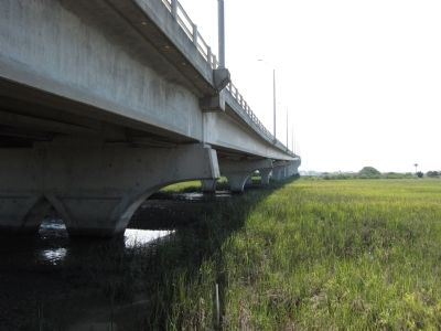 The Francis and Mary Usina Bridge Pilings image. Click for full size.