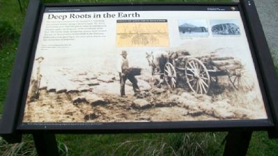 Deep Roots in the Earth Marker image. Click for full size.