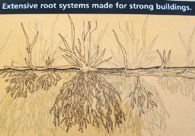 Deep Roots in the Earth Marker Detail image. Click for full size.