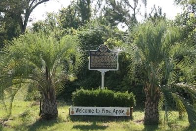 Pine Apple Historic District Marker image. Click for full size.