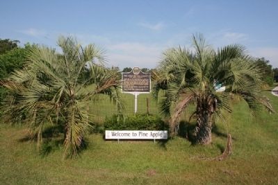 Pine Apple Historic District Marker (The East Welcome to Pine Apple Sign) image. Click for full size.