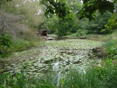 Alfred Caldwell Lily Pool. Click for full size. Alfred Caldwell Lily Pool image. Click for full size.
