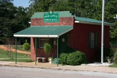 Pine Apple's Town Hall image. Click for full size.