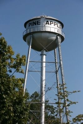 Pine Apple's Water Tower. image. Click for full size.