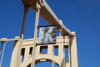 Rachel Carson Bridge Banner image. Click for full size.