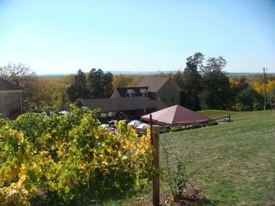Kehl Home (in background) viewed from the grapevines image. Click for full size.