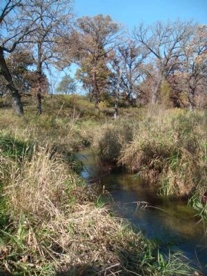 Fryes Feeder Creek in Donald Park. Click for full size. Fryes Feeder Creek in Donald Park image. Click for full size.