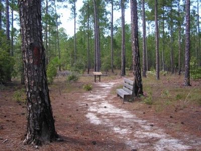 Overview image. Click for full size.