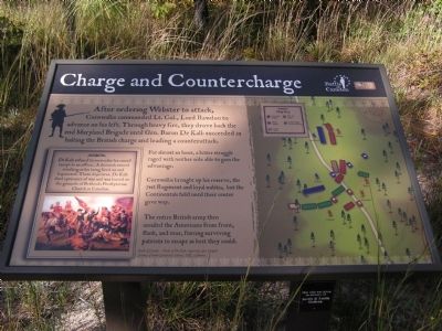 Charge and Countercharge Marker image. Click for full size.