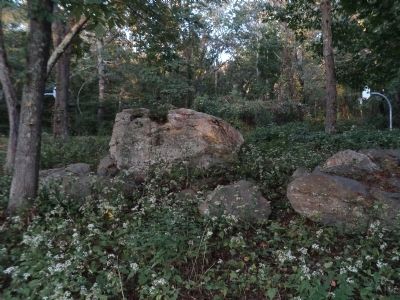 Treaty Rock image. Click for full size.