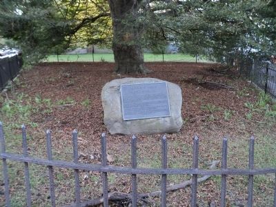 The Tree of Liberty Marker. Click for full size. The Tree of Liberty Marker image. Click for full size.