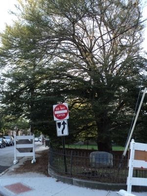 The Tree of Liberty and Marker. Click for full size. The Tree of Liberty and Marker image. Click for full size.