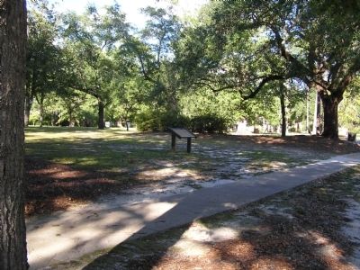 Overview image. Click for full size.