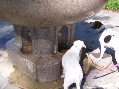 View of the dog watering fountains image. Click for full size.