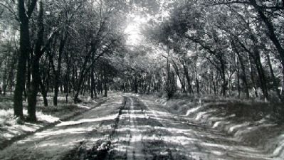 Photo on Veterans Memorial Drive Marker image. Click for full size.