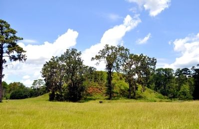 Kolomoki Mound A, also called the Temple Mound. Click for full size. Kolomoki Mound A, also called the Temple Mound image. Click for full size.