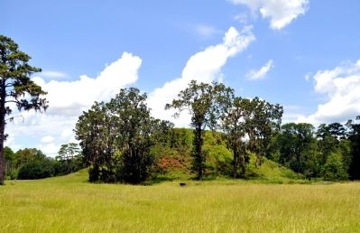 Kolomoki Mound A, also called the Temple Mound image. Click for full size.