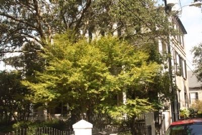 Toomer- Purse House. Click for full size. Toomer- Purse House image. Click for full size.