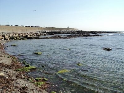The Rocky Shore of Rhode Island. Click for full size. The Rocky Shore of Rhode Island image. Click for full size.
