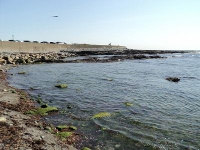 The Rocky Shore of Rhode Island image. Click for full size.