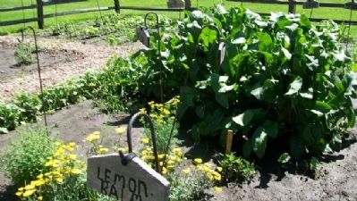 Mission Kitchen Garden. Click for full size. Mission Kitchen Garden image. Click for full size.