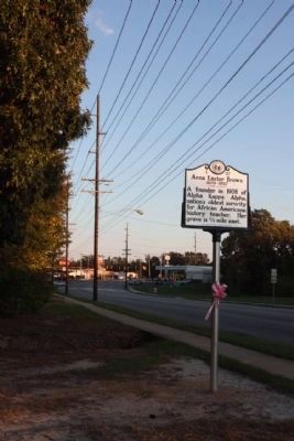 Anna Easter Brown Marker. looking southward on East Grand Avenue image. Click for full size.