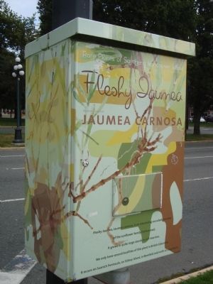 Isn't this better than an ugly box?. Click for full size. Isn't this better than an ugly box? image. Click for full size.