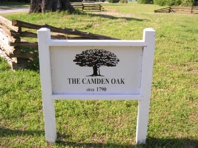 The Camden Oak Marker image. Click for full size.