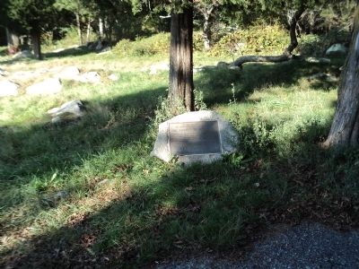 Holts Trail Marker. Click for full size. Holts Trail Marker image. Click for full size.
