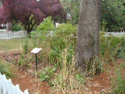 The Old Mans Garden Marker. Click for full size. The Old Mans Garden Marker image. Click for full size.