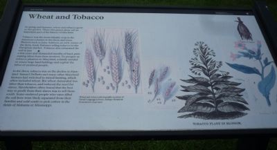 Wheat and Tobacco Marker image. Click for full size.