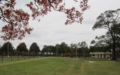 Albemarle & Chesapeake Canal Observation Platform image. Click for full size.
