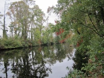 Great Dismal Swamp - North West Canal. Click for full size. Great Dismal Swamp - North West Canal image. Click for full size.