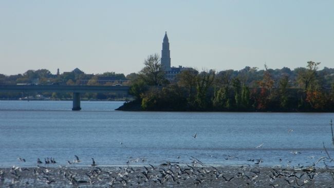 Oxon Cove [Creek] off the Potomac River. Note the Anacostia Fwy (I-295) overpass image. Click for full size.
