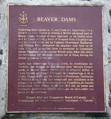 Beaver Dams Marker image. Click for full size.