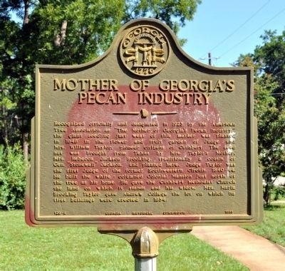 Mother of Georgia's Pecan Industry Marker image. Click for full size.