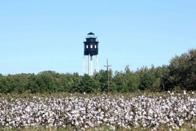 Cape Charles Light, rises above the cotton fields, typical of this area image. Click for full size.