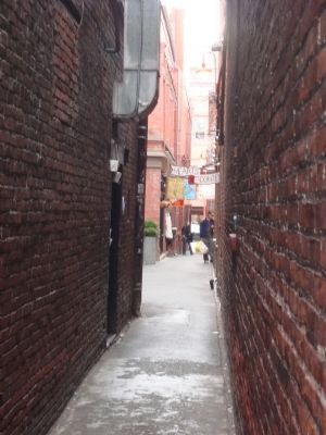 Fan Tan Alley, Victoria's narrowest alley image. Click for full size.