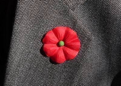A VFW Buddy Poppy image. Click for more information.
