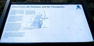 Oxon Cove, the Potomac, and the Chesapeake Marker image. Click for full size.