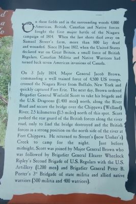 Chippawa Battlefield Panel 1 Marker image. Click for full size.