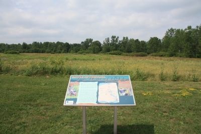 Chippawa Battlefield Panel 1 Marker image. Click for full size.