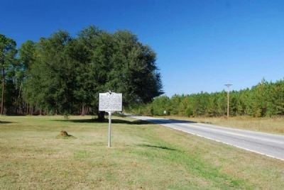 Belfast Plantation Marker<br>Front, Looking North Along SC 56 image. Click for full size.