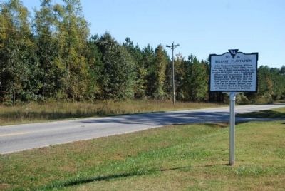 Belfast Plantation Marker<br>Reverse, Looking South Along SC 56 image. Click for full size.