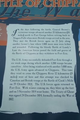 Chippawa Battlefield Panel 6 Marker image. Click for full size.